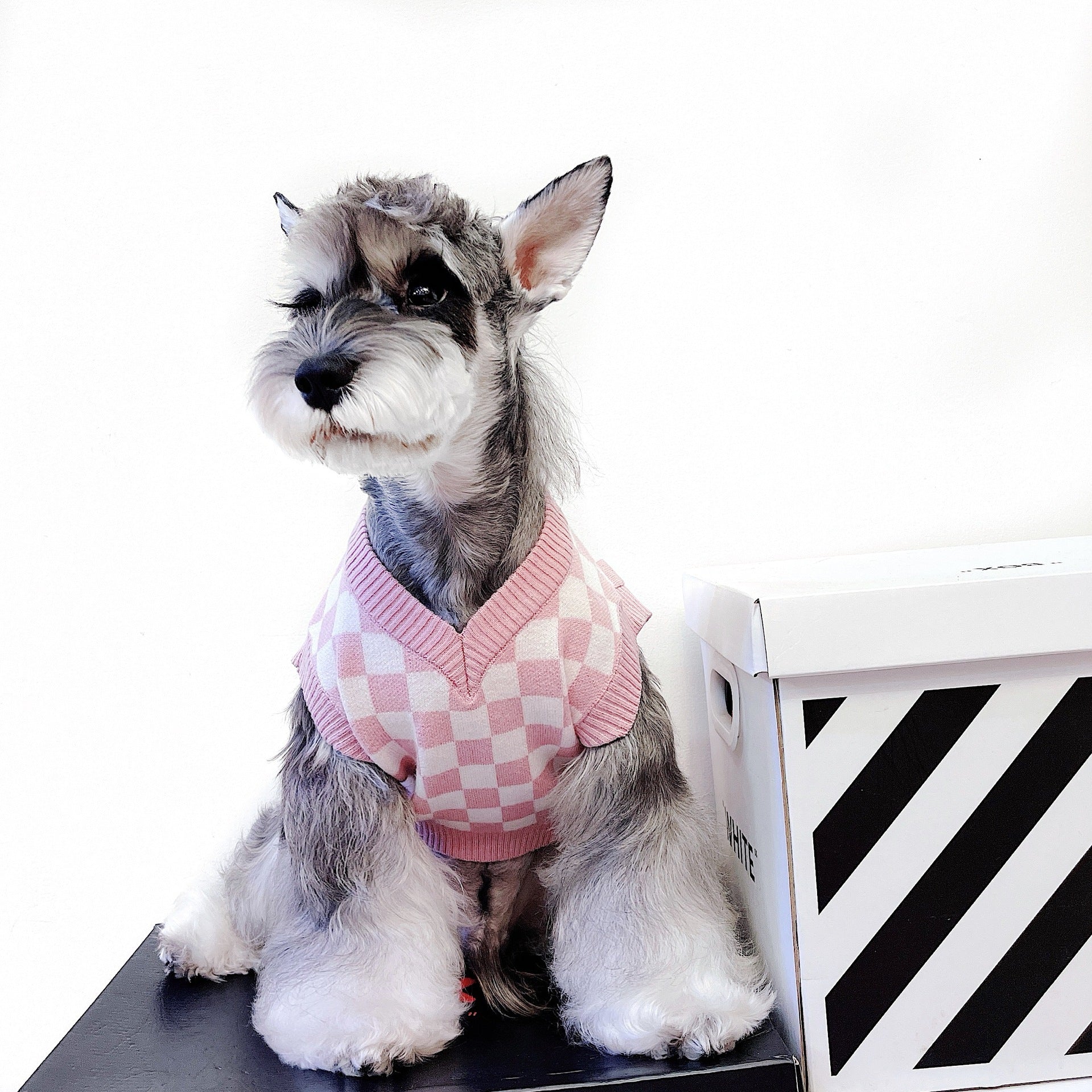 Why Your Pet Deserves the Girly Cute Checkerboard Vest Sweater